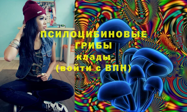 мяу мяу мука Володарск