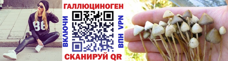Купить  Льгов  Псилоцибиновые грибы мицелий 